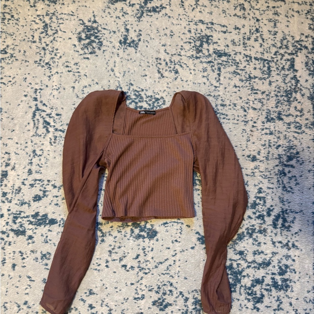 Zara Brown Long Sleeve Blouse